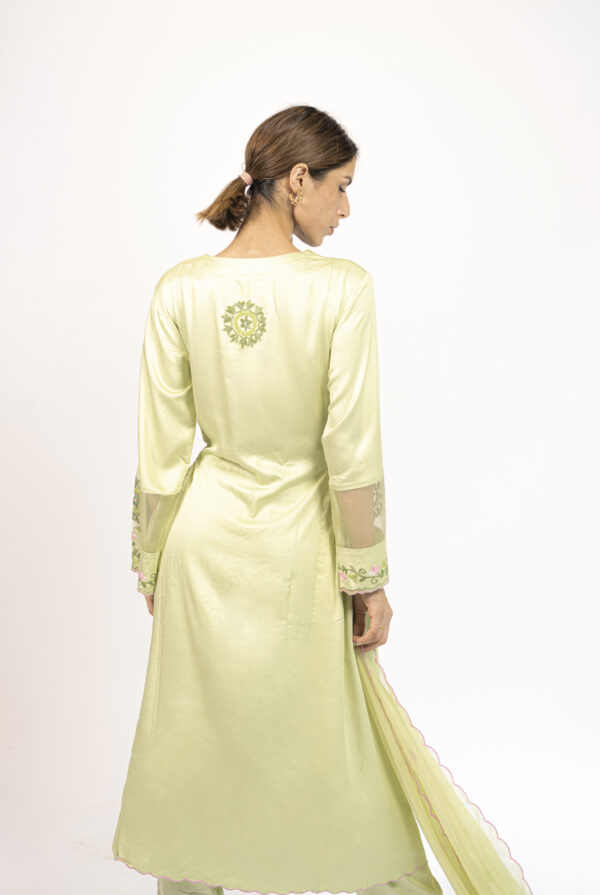 Back view of a soft green embroidered kurta, showcasing minimal embroidery on the upper back.
